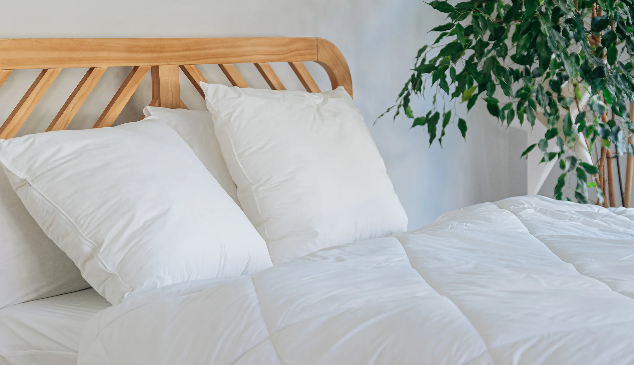 Hybrides Kissen x2 - Image 4